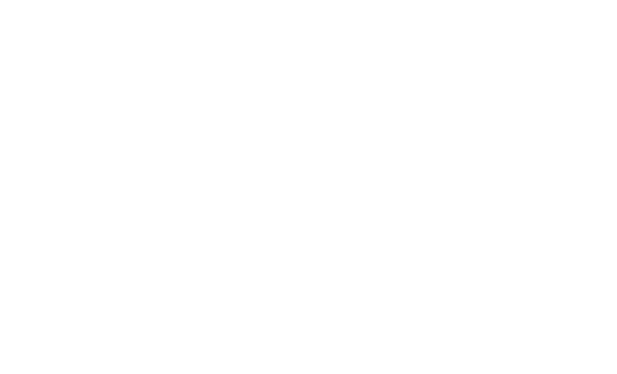 Ana Luiza Camargo — Otorrinolaringologia